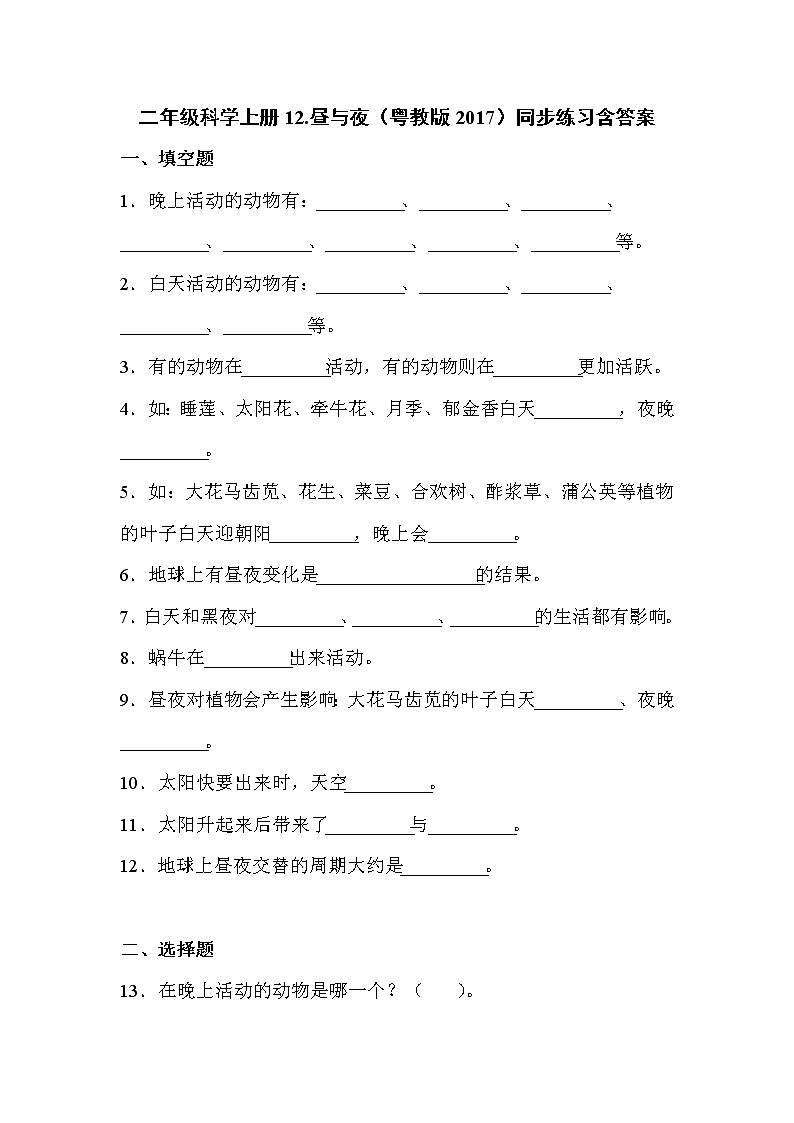 粤教版二上科学 12.昼与夜 同步练习（含答案）01