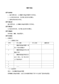 小学科学粤教粤科版 (2017)三年级上册2 蜻蜓与麻雀导学案及答案