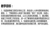 教科版(2017秋）四年級(jí)科學(xué)上冊(cè)2.8《食物在身體里的旅行》 課件（20張PPT）+素材