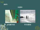 教科版科学三年级1.3《水结冰了》课件+教案+视频