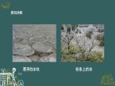 教科版科学三年级1.3《水结冰了》课件+教案+视频