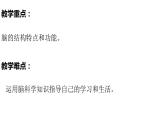 教科版(2017秋）五年級科學(xué)上冊4.4 身體的“總指揮” （課件43張+素材)