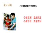 教科版(2017秋）五年級科學(xué)上冊4.4 身體的“總指揮” （課件43張+素材)