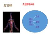 教科版(2017秋）五年級科學(xué)上冊4.4 身體的“總指揮” （課件43張+素材)