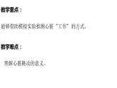 教科版(2017秋）五年級科學上冊4.3 心臟和血液（課件39張+素材)