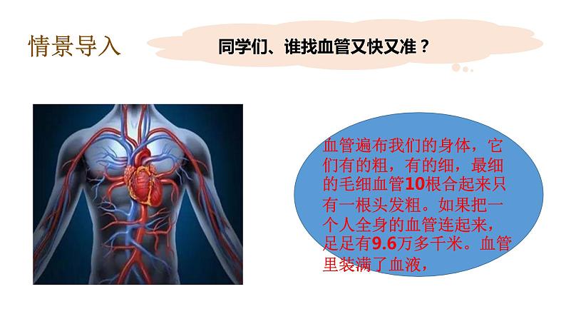教科版(2017秋）五年级科学上册4.3 心脏和血液（课件39张+素材)07