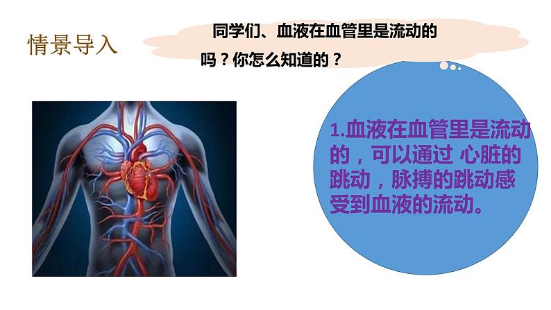 教科版(2017秋）五年级科学上册4.3 心脏和血液（课件39张+素材)08