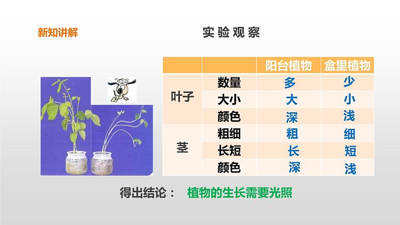 2022版粤教粤科版五年级上册第6课《植物需要阳光》课件第6页