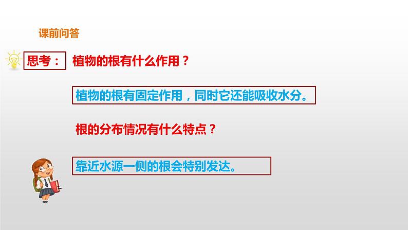 2022版粤教粤科版五年级上册第3课《根还吸收了什么》课件03