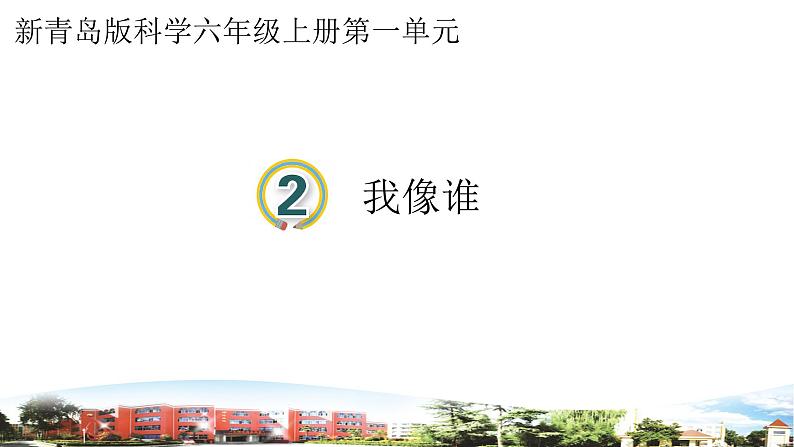 我像谁第1页