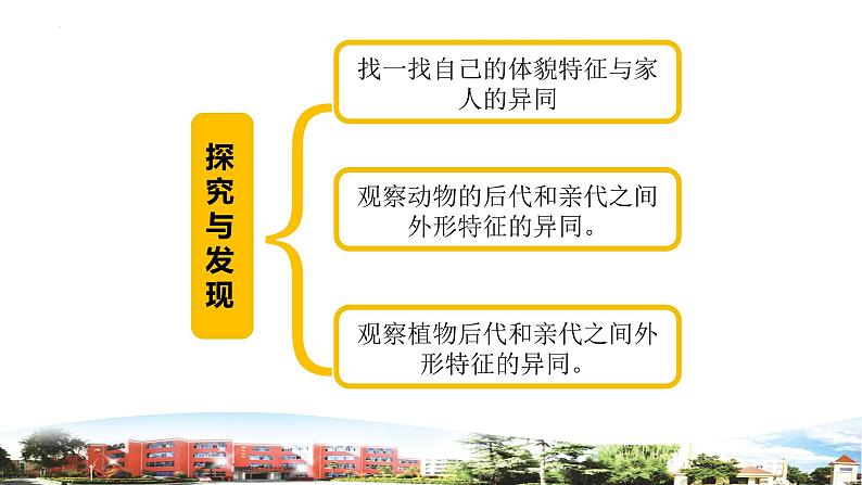 我像谁第4页