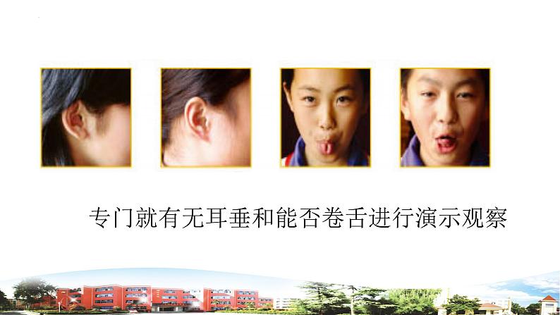 我像谁第8页