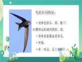 新人教鄂教版科学四上：1.2 动物的分类（第1课时） PPT课件+内嵌视频+教学设计+练习+任务单