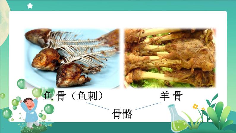 1.2 动物的分类 第二课时 PPT课件+内嵌视频第8页