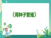 新人教鄂教版科学四上：2.4 用种子繁殖（第1课时）PPT课件+内嵌视频+教学设计+任务单+练习