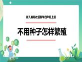 新人教鄂教版科学四上：2.5 不用种子怎样繁殖 PPT课件+教学设计+任务单+练习