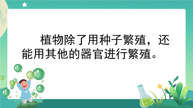 新人教鄂教版科学四上：2.5 不用种子怎样繁殖 PPT课件+教学设计+任务单+练习08