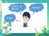 新人教鄂教版科学四上：第二单元 动植物的繁殖 单元回顾PPT课件+教学设计+任务单+练习