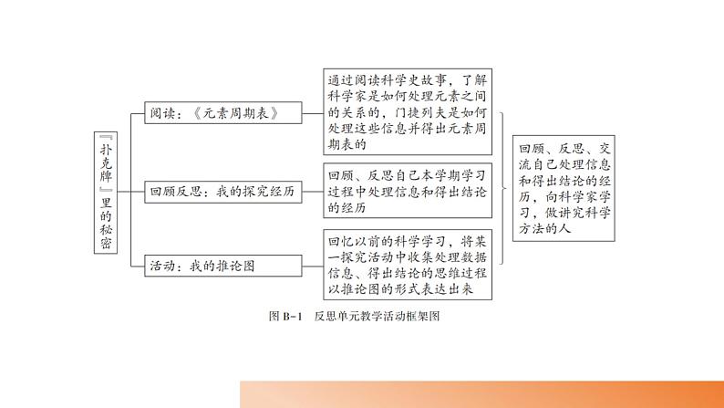 大象版科学（2017）六年级上册反思单元《“扑克牌”里的秘密》教材分析及教学建议 课件05