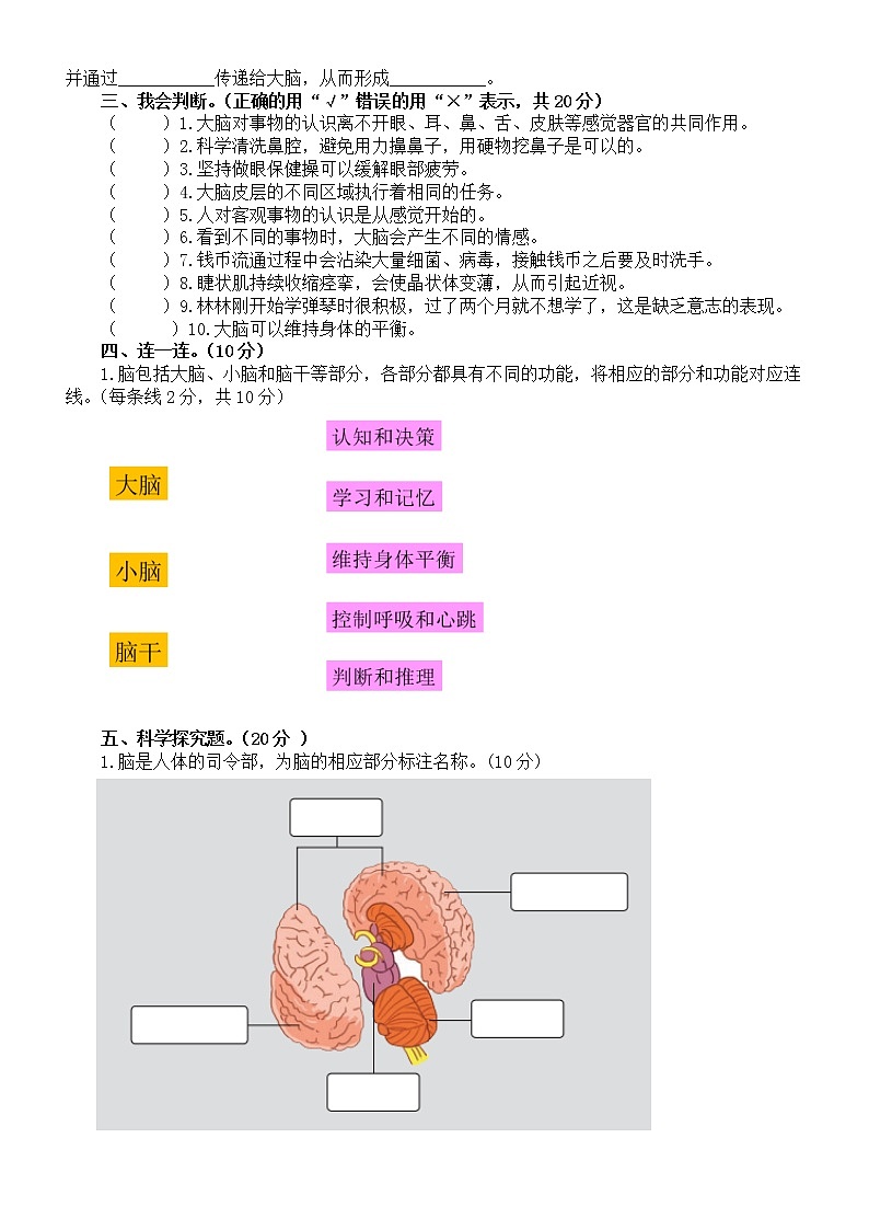 小学科学大象版五年级上册第二单元《人体司令部》测试卷（附参考答案）（2022秋）第2页