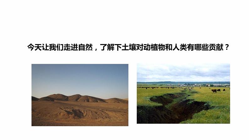 7 保护土壤 PPT课件03