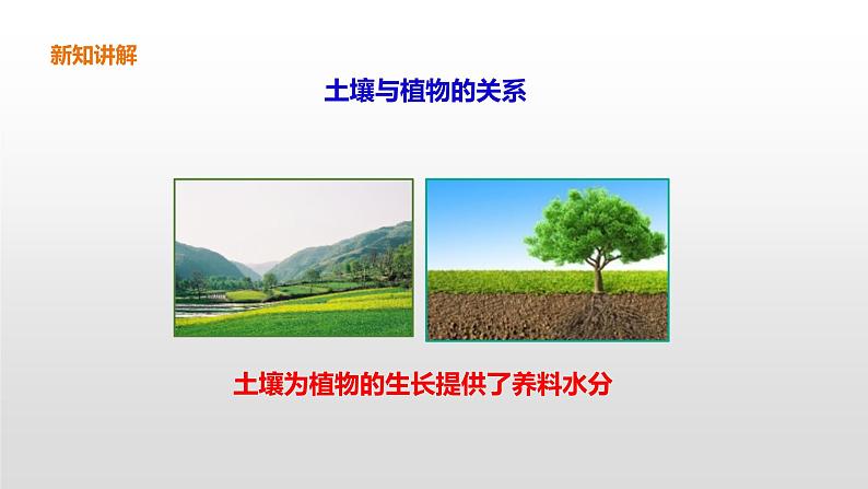 7 保护土壤 PPT课件04