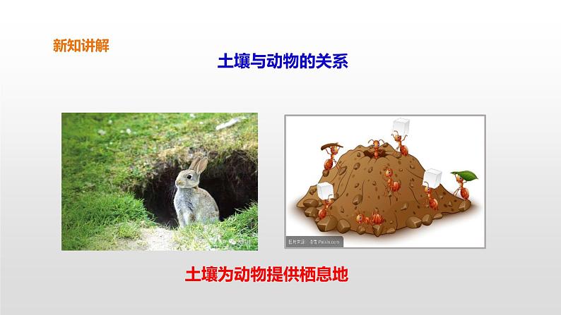 7 保护土壤 PPT课件05