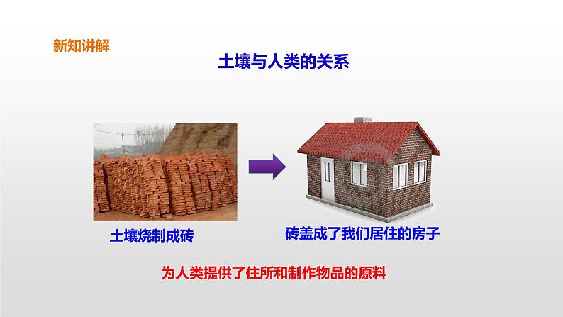 7 保护土壤 PPT课件06