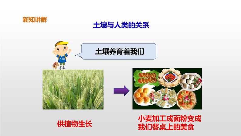 7 保护土壤 PPT课件07