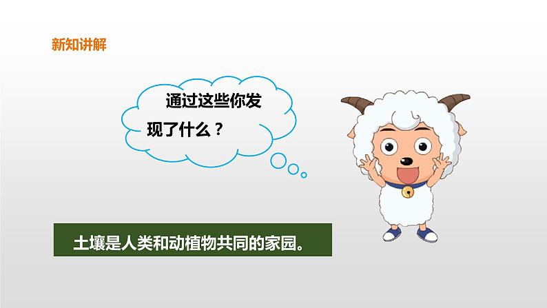 7 保护土壤 PPT课件08