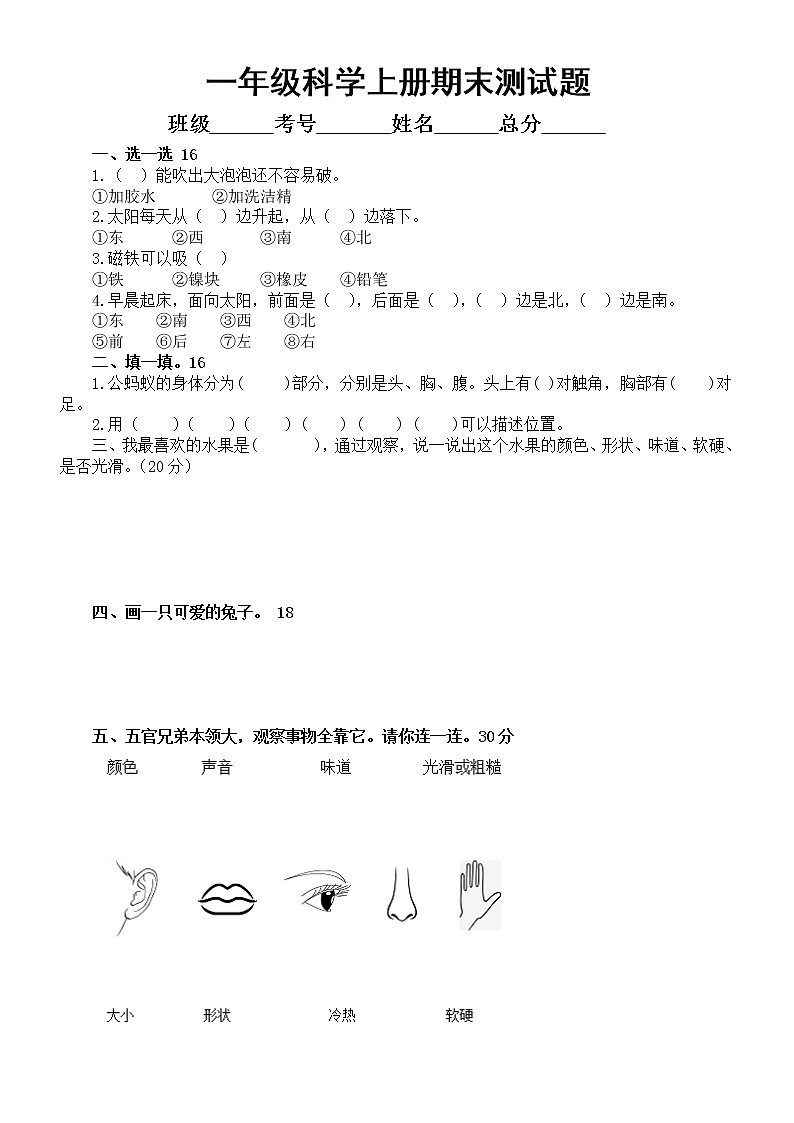 小学科学大象版一年级上册期末测试题2（附参考答案）01