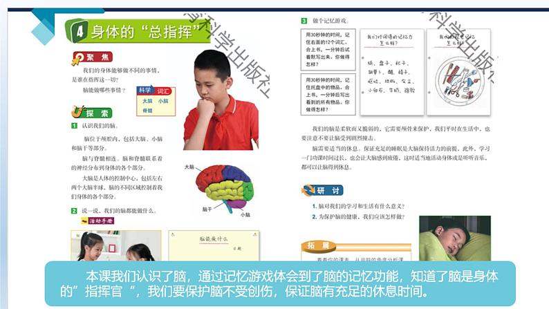 小学科学教科版五年级上册第四单元《健康生活》整理教学课件（2022秋）第8页