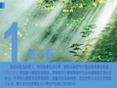 小學(xué)科學(xué)教科版五年級上冊第一單元《光》整理教學(xué)課件（2022秋）