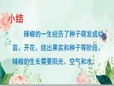 《不同環(huán)境中的植物》課件ppt
