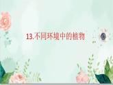 《不同環(huán)境中的植物》課件ppt
