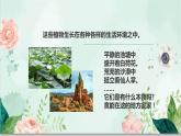 《不同環(huán)境中的植物》課件ppt
