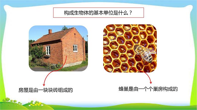 最新六三制新青岛版六年级科学上册全册课件完美版第2页