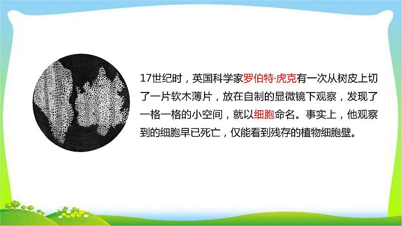 最新六三制新青岛版六年级科学上册全册课件完美版第3页
