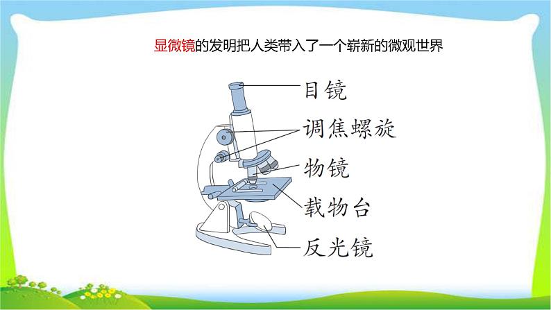 最新六三制新青岛版六年级科学上册全册课件完美版第4页