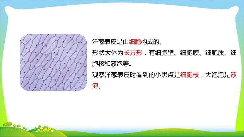 最新六三制新青岛版六年级科学上册全册课件完美版第5页