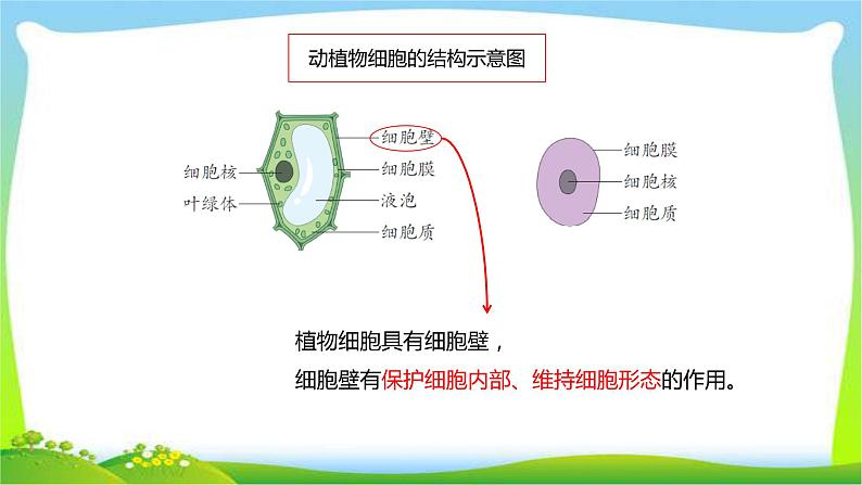 最新六三制新青岛版六年级科学上册全册课件完美版第7页