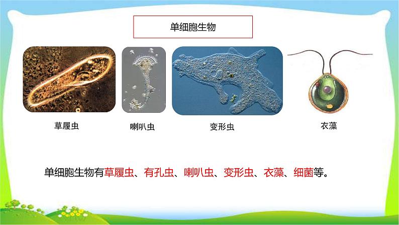 最新六三制新青岛版六年级科学上册全册课件完美版第8页