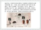 新冀人版科学六年级上册 第12课《植物的养分》课件PPT+教案