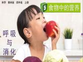 教科版科学四年级上册2.5食物中的营养教学课件