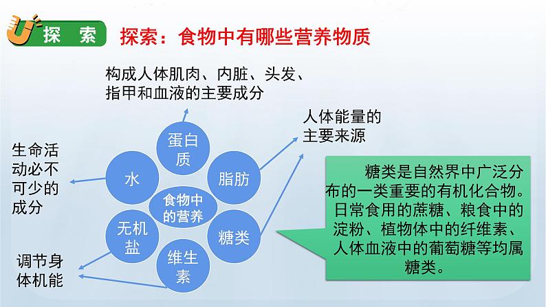 教科版科学四年级上册2.5食物中的营养教学课件05