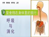 教科版科学四年级上册2.8食物在身体里的旅行教学课件