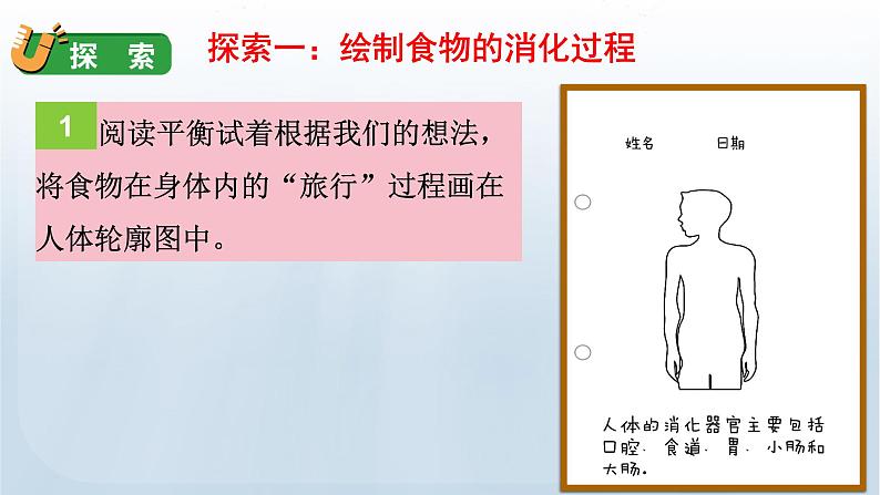 教科版科学四年级上册2.8食物在身体里的旅行教学课件07