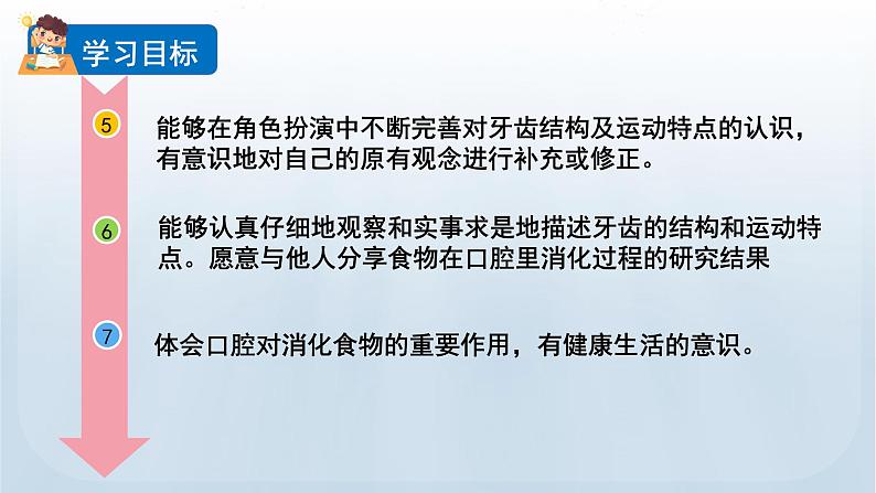 教科版科学四年级上册2.7食物在口腔里的变化教学课件第3页