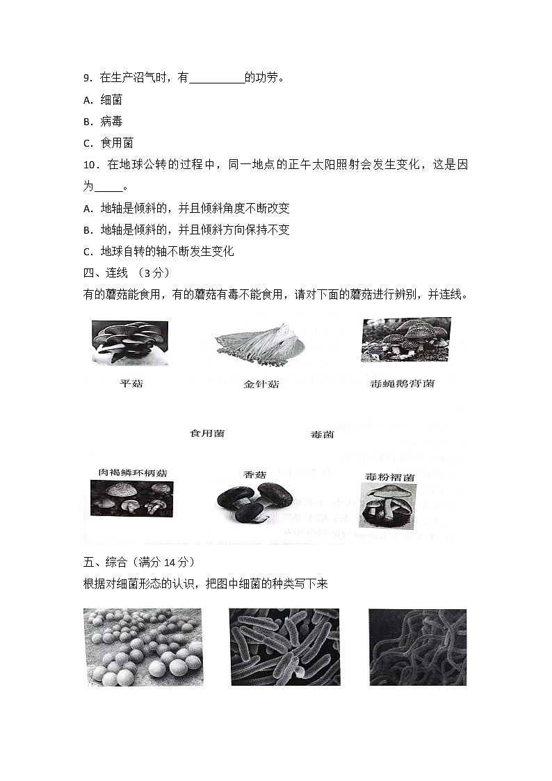青岛版（六三制）六年级科学上册期中试卷及答案（二）03