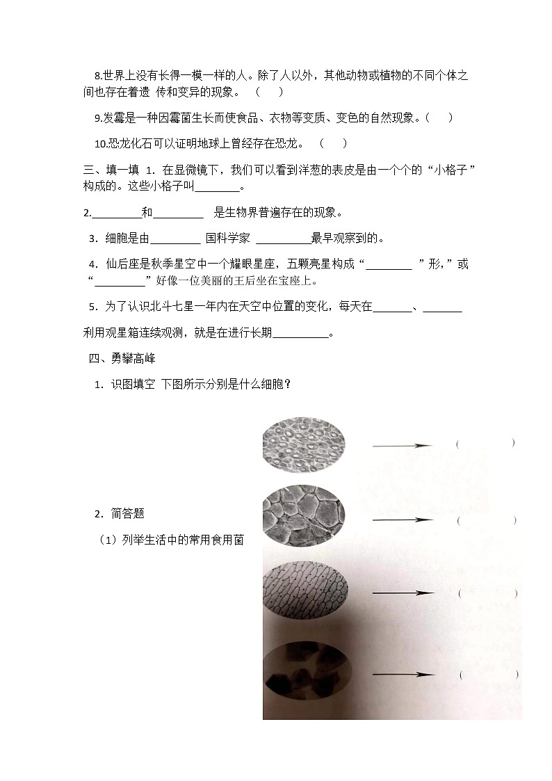 青岛版（六三制）六年级科学上册期中试卷及答案（一）第3页